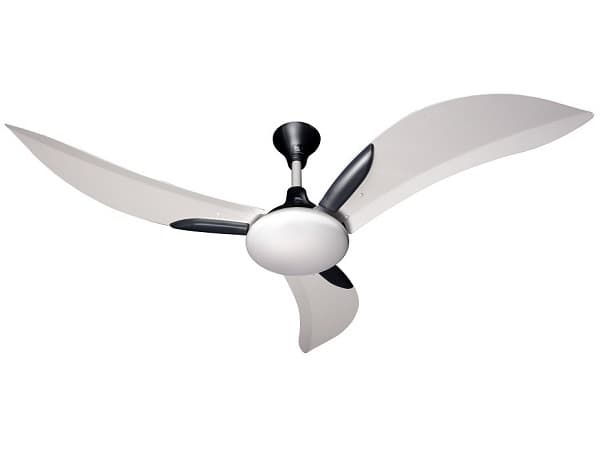 Pak Fan Pride AC/DC Ceiling Fan 3